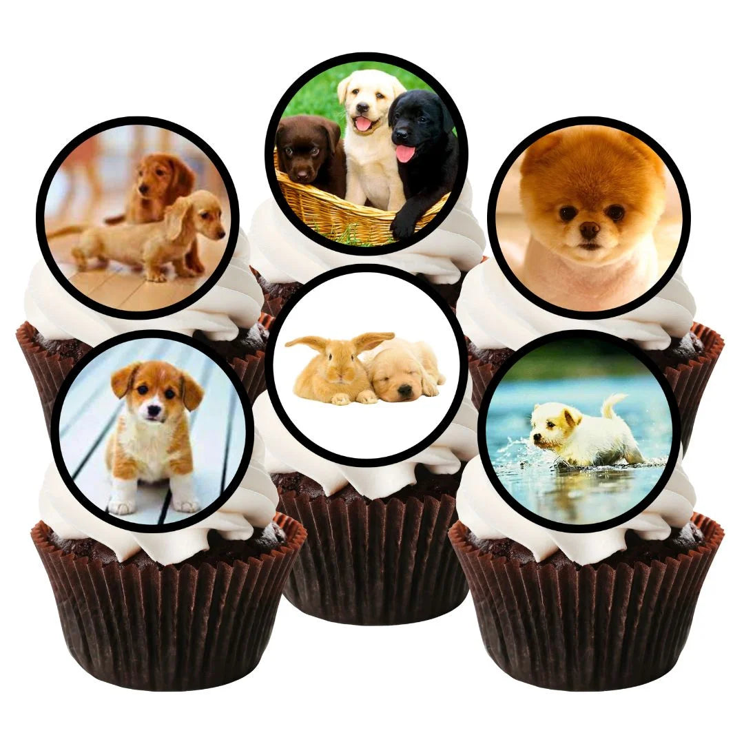 cute puppy cupcake toppers on six white frosted cupcakes