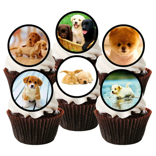 cute puppy cupcake toppers on six white frosted cupcakes