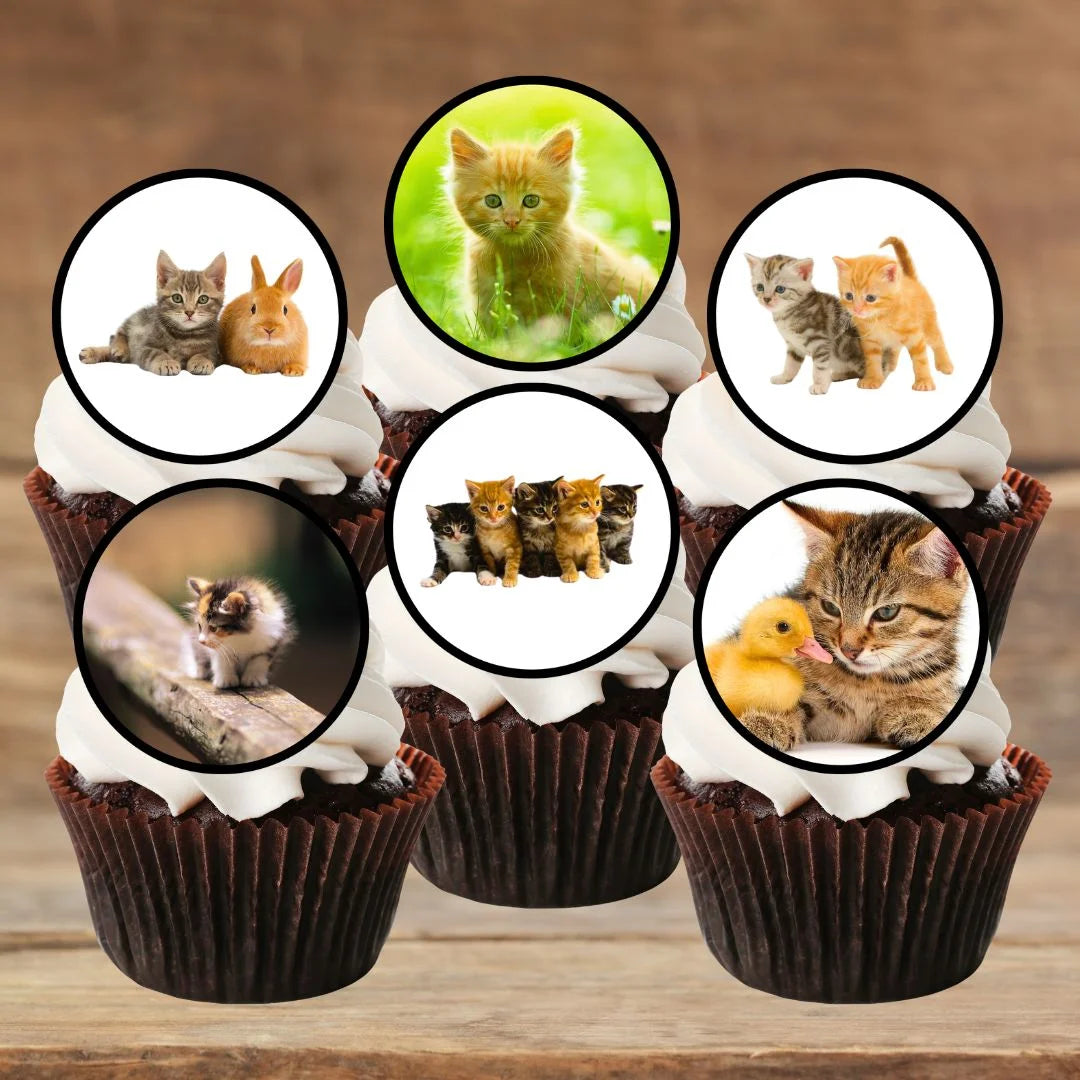 chocolate cupcakes with white frosting topped with cute kitten cake toppers