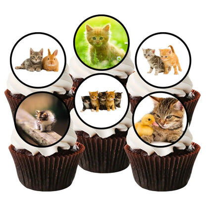 six frosted cupcakes with white icing and edible kittens cake toppers