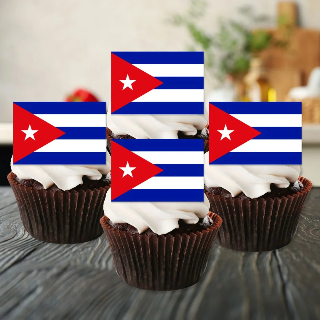 Croatia Flag Edible Cupcake Toppers on chocolate cupcakes with white frosting