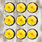 Daffodil Edible Cupcake Toppers on chocolate cupcakes with white frosting 