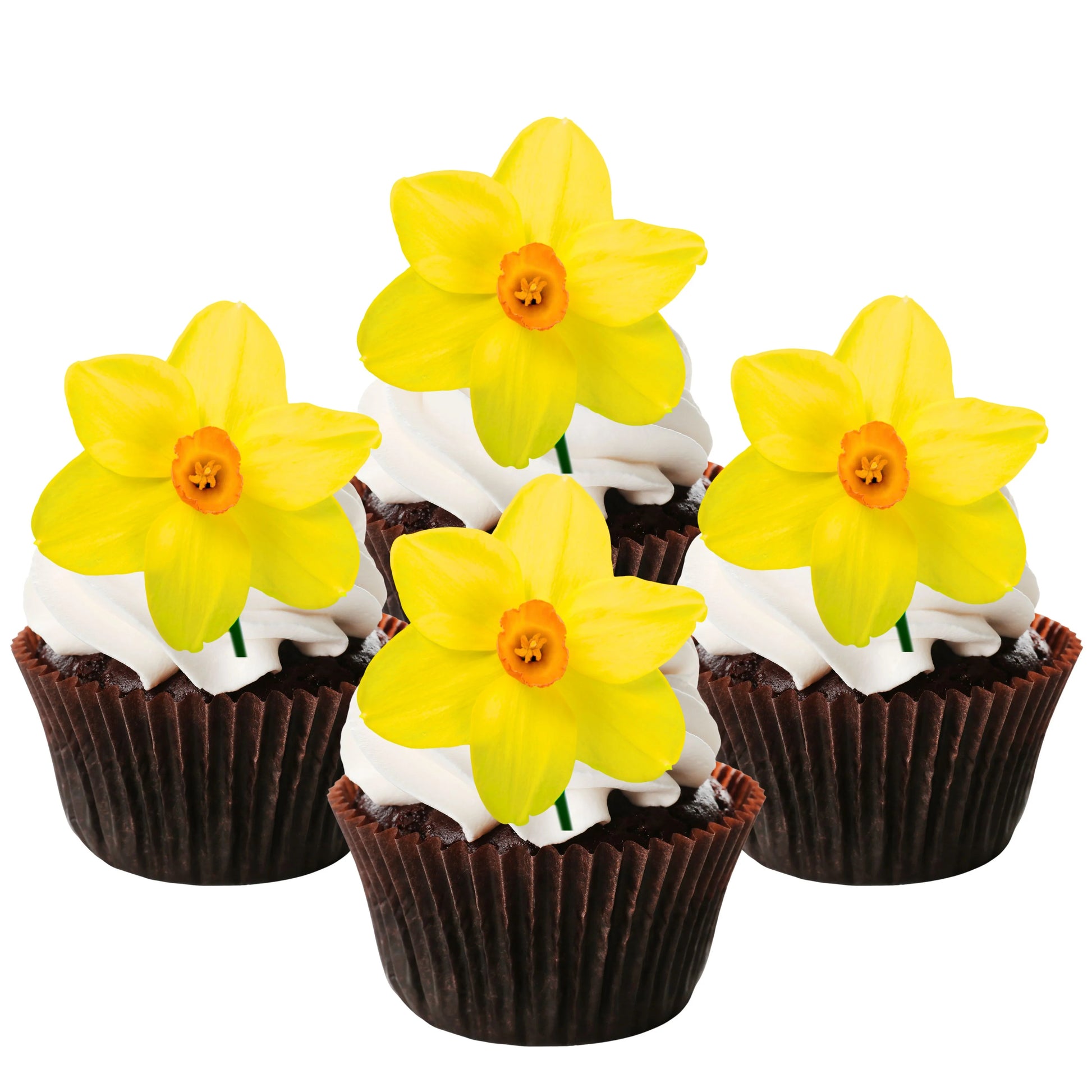 Daffodil Edible Cupcake Toppers on chocolate cupcakes with white frosting 