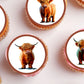 close up of highland cow cupcake toppers on frosted cupcakes