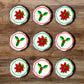 Christmas Poinsettia + Holly Cupcake Toppers on chocolate cupcakes with white frosting