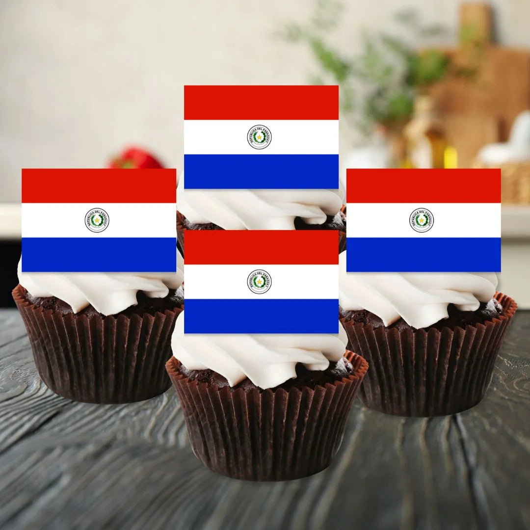 Paraguay Flag Edible Cupcake Toppers