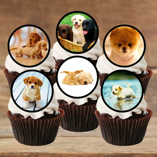 six chocolate cupcakes with white frosting and finished with round cupcake toppers featuring photos of cute puppies