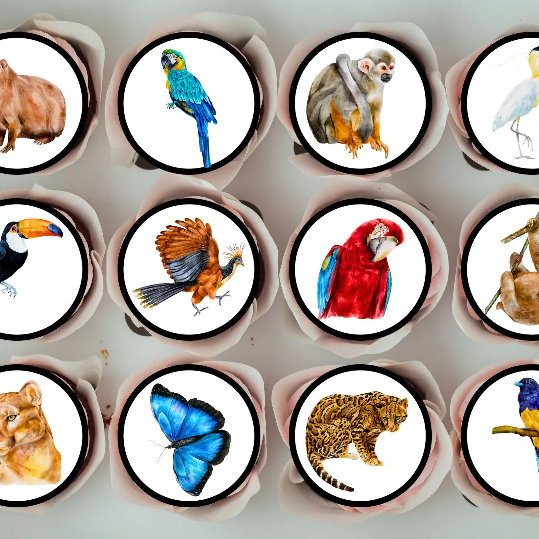 rainforest animals edible cupcake toppers  featuring parrots, leopards and butterflies on cupcakes with pink frosting 