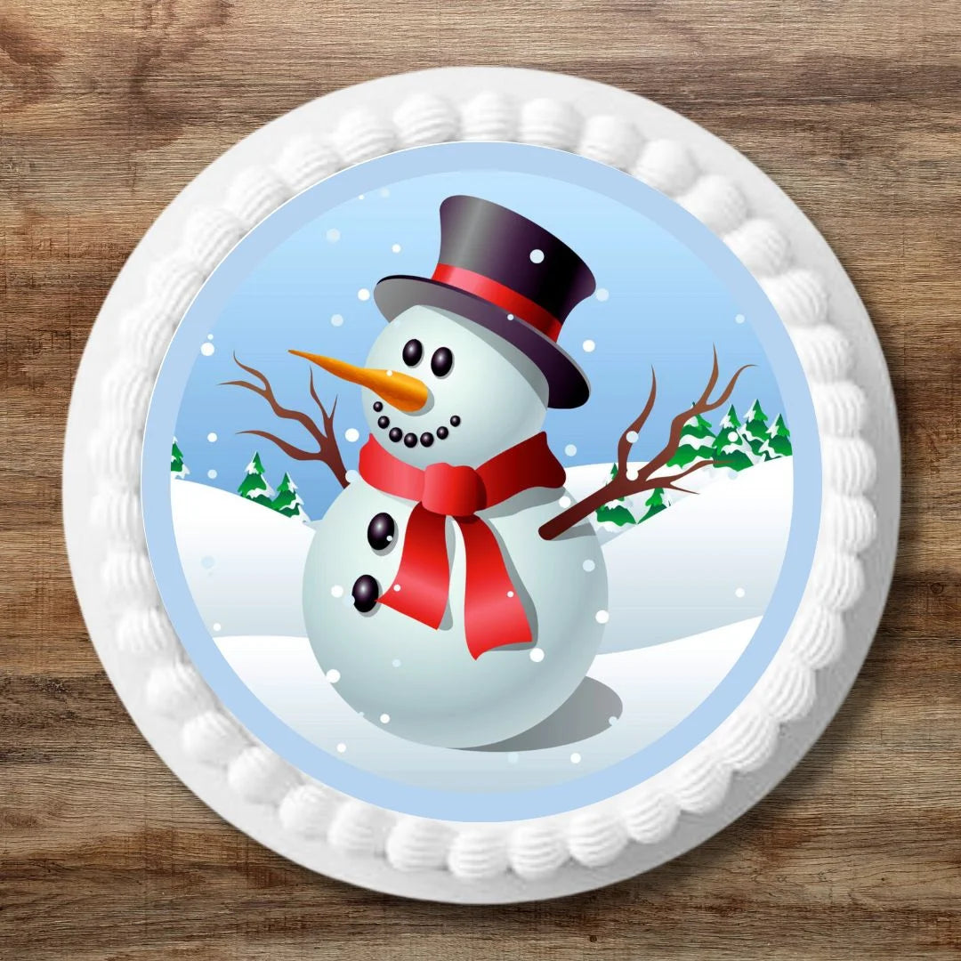 Snowman Theme Edible cake Topper on a large white frosted cake 