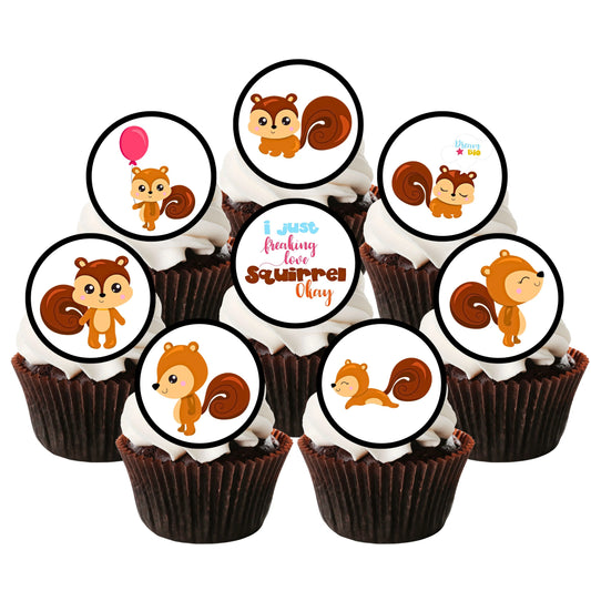 7 chcolate cupcakes with white frosting and edible squirrel cupcake toppers